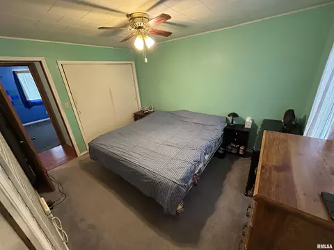3 Phyllis Dr, Centralia, IL 62801 photo 31