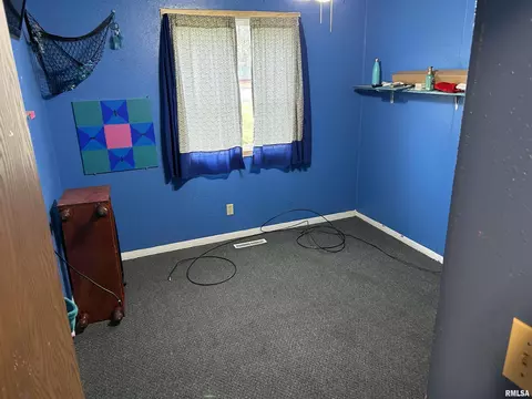 3 Phyllis Dr, Centralia, IL 62801 photo 28