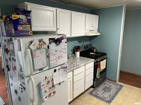 3 Phyllis Dr, Centralia, IL 62801 photo 18
