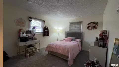1010 Enterprise St, Benton, IL 62812 photo 16