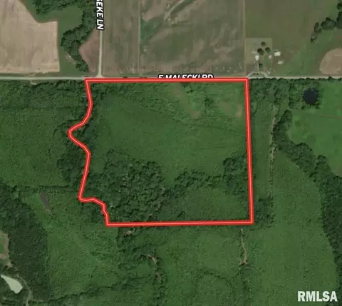 000 E Malachi Rd, Bluford, IL 62814 photo 13