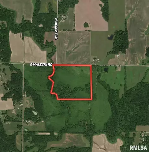 000 E Malachi Rd, Bluford, IL 62814 photo 14