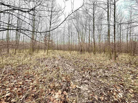 000 E Malachi Rd, Bluford, IL 62814 photo 9