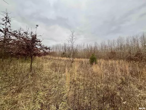 000 E Malachi Rd, Bluford, IL 62814 photo 8