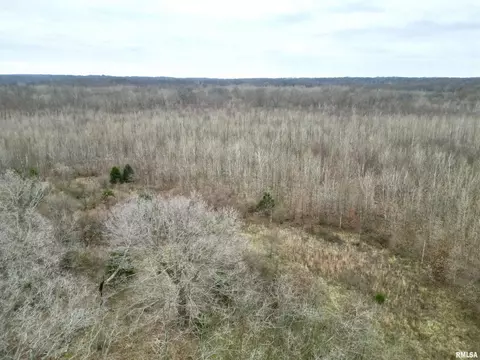000 E Malachi Rd, Bluford, IL 62814 photo 6
