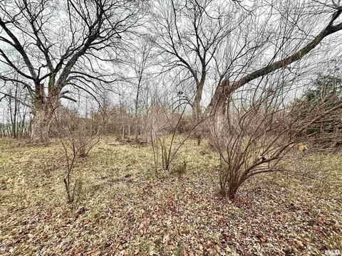 000 E Malachi Rd, Bluford, IL 62814 photo 10