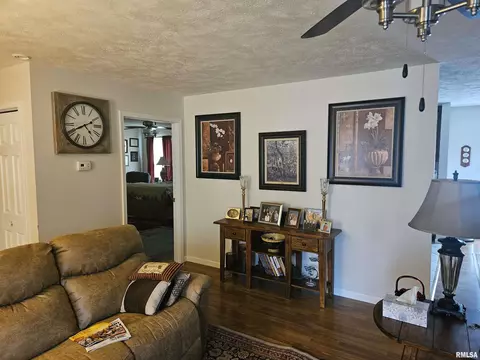 314 W Webster St, Benton, IL 62812 photo 13