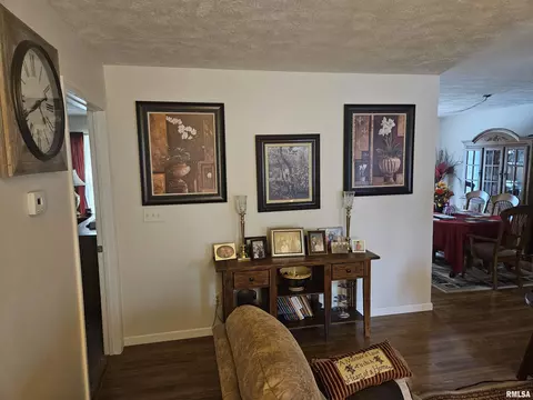 314 W Webster St, Benton, IL 62812 photo 21