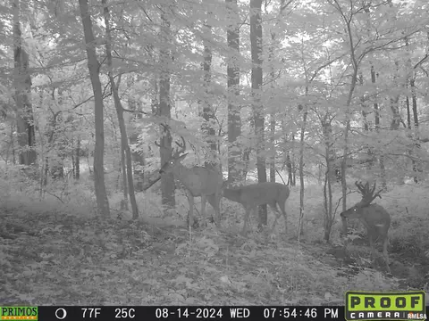 Other - 10965 E 700th Ave, Watson, IL 62473 photo 64 of 66