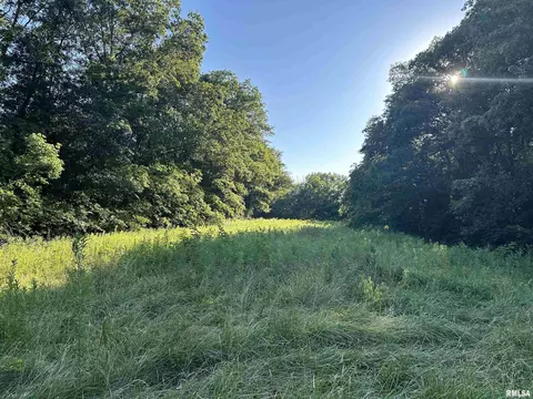 Other - 10965 E 700th Ave, Watson, IL 62473 photo 11 of 66