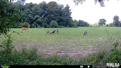 Other - 10965 E 700th Ave, Watson, IL 62473 photo 23 of 66