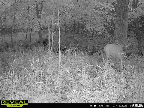Other - 10965 E 700th Ave, Watson, IL 62473 photo 24 of 66