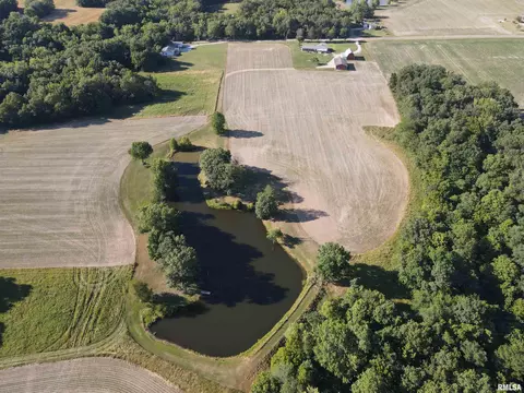 View/Area - 10965 E 700th Ave, Watson, IL 62473 photo 7 of 10