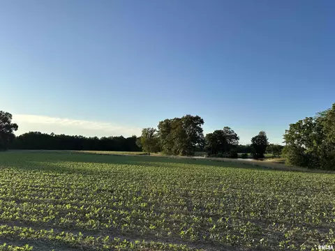 Other - 10965 E 700th Ave, Watson, IL 62473 photo 15 of 66