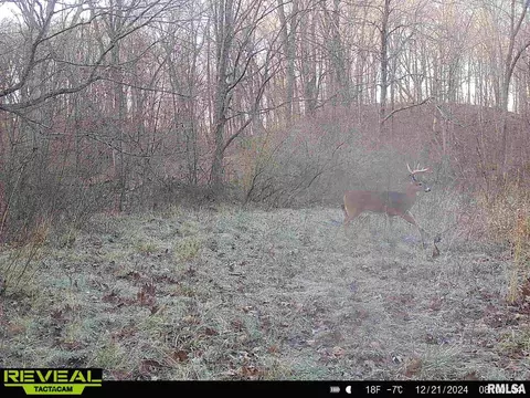 Other - 10965 E 700th Ave, Watson, IL 62473 photo 48 of 66