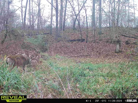 Other - 10965 E 700th Ave, Watson, IL 62473 photo 51 of 66