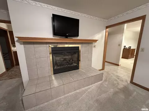Living - 10965 E 700th Ave, Watson, IL 62473 photo 1 of 2