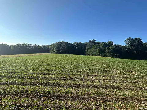 Other - 10965 E 700th Ave, Watson, IL 62473 photo 13 of 66