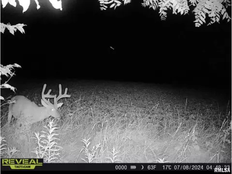 Other - 10965 E 700th Ave, Watson, IL 62473 photo 32 of 66