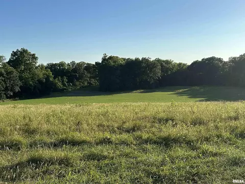 Other - 10965 E 700th Ave, Watson, IL 62473 photo 14 of 66