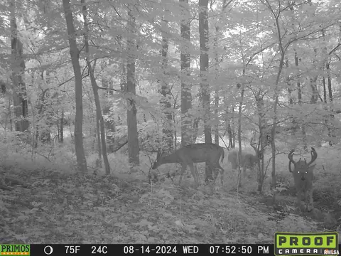 Other - 10965 E 700th Ave, Watson, IL 62473 photo 66 of 66