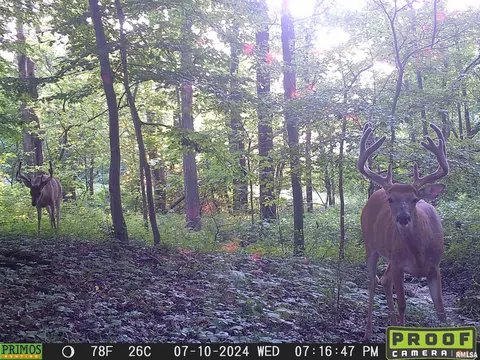 Other - 10965 E 700th Ave, Watson, IL 62473 photo 26 of 66