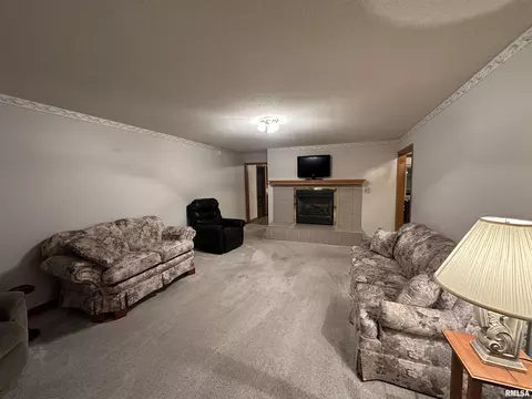 Living - 10965 E 700th Ave, Watson, IL 62473 photo 2 of 2