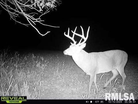 Other - 10965 E 700th Ave, Watson, IL 62473 photo 58 of 66