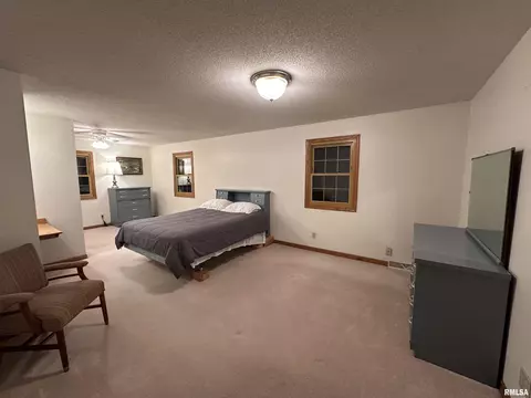 Bedroom - 10965 E 700th Ave, Watson, IL 62473 photo 1 of 3