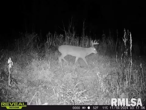 Other - 10965 E 700th Ave, Watson, IL 62473 photo 53 of 66