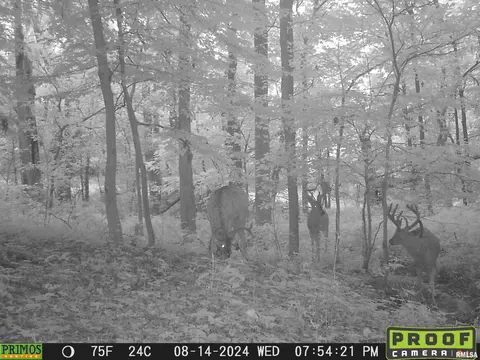 Other - 10965 E 700th Ave, Watson, IL 62473 photo 65 of 66