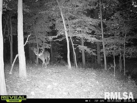 Other - 10965 E 700th Ave, Watson, IL 62473 photo 62 of 66