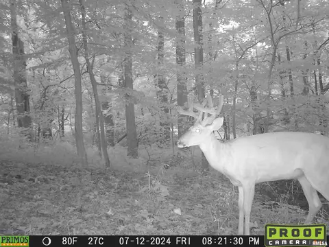 Other - 10965 E 700th Ave, Watson, IL 62473 photo 29 of 66