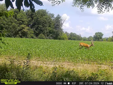 Other - 10965 E 700th Ave, Watson, IL 62473 photo 34 of 66