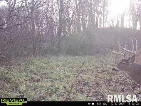 Other - 10965 E 700th Ave, Watson, IL 62473 photo 63 of 66