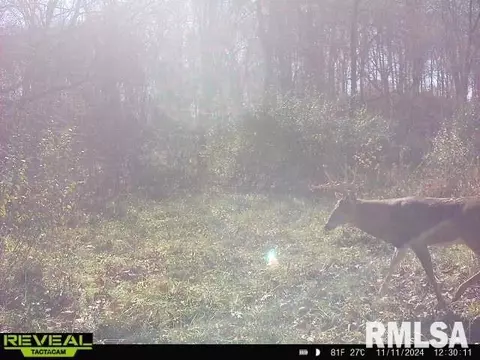 Other - 10965 E 700th Ave, Watson, IL 62473 photo 55 of 66