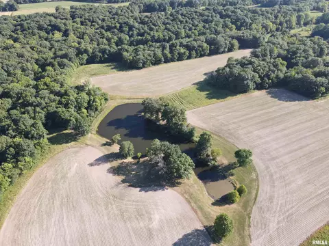 View/Area - 10965 E 700th Ave, Watson, IL 62473 photo 4 of 10