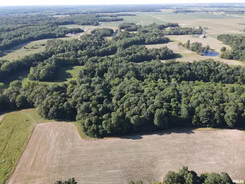 Other - 10965 E 700th Ave, Watson, IL 62473 photo 6 of 66
