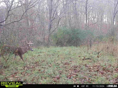 Other - 10965 E 700th Ave, Watson, IL 62473 photo 54 of 66