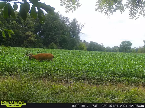 Other - 10965 E 700th Ave, Watson, IL 62473 photo 36 of 66