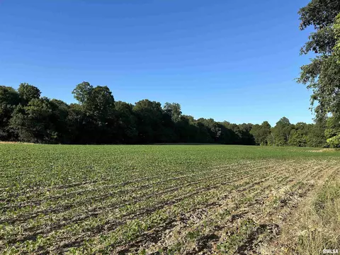 Other - 10965 E 700th Ave, Watson, IL 62473 photo 12 of 66