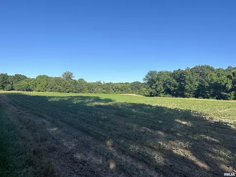Other - 10965 E 700th Ave, Watson, IL 62473 photo 10 of 66
