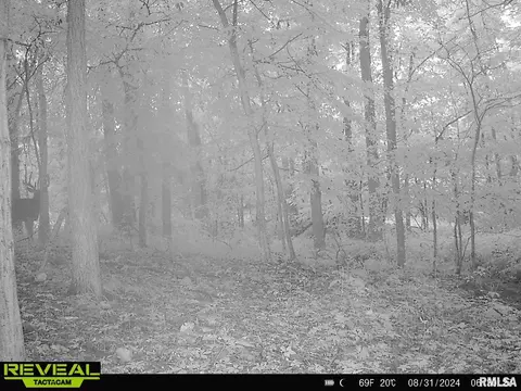 Other - 10965 E 700th Ave, Watson, IL 62473 photo 61 of 66