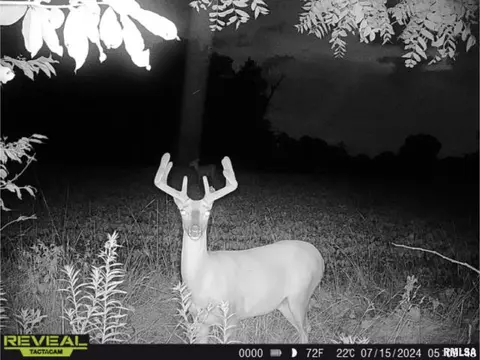 Other - 10965 E 700th Ave, Watson, IL 62473 photo 30 of 66