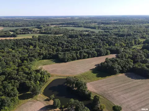 View/Area - 10965 E 700th Ave, Watson, IL 62473 photo 5 of 10
