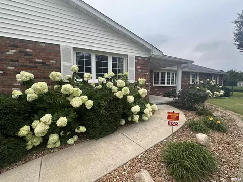 Exterior - 10965 E 700th Ave, Watson, IL 62473 photo 5 of 9