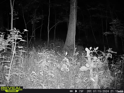 Other - 10965 E 700th Ave, Watson, IL 62473 photo 41 of 66
