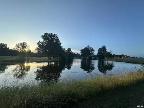 View/Area - 10965 E 700th Ave, Watson, IL 62473 photo 9 of 10