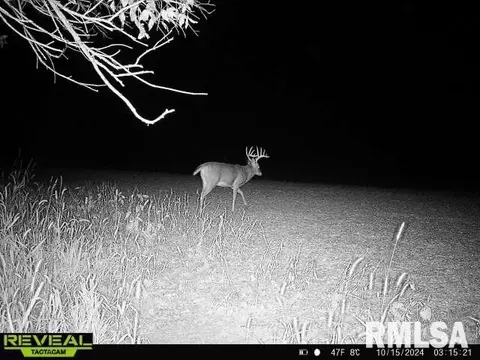 Other - 10965 E 700th Ave, Watson, IL 62473 photo 59 of 66