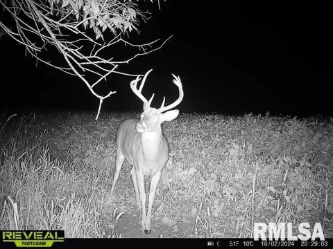 Other - 10965 E 700th Ave, Watson, IL 62473 photo 60 of 66